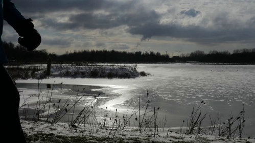 Broekpolder Vlaardingen