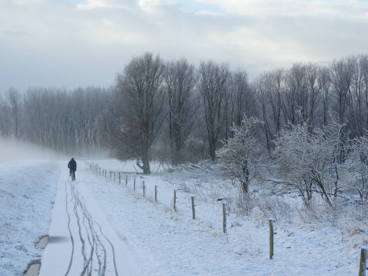 Winterwandeling Broekpolder