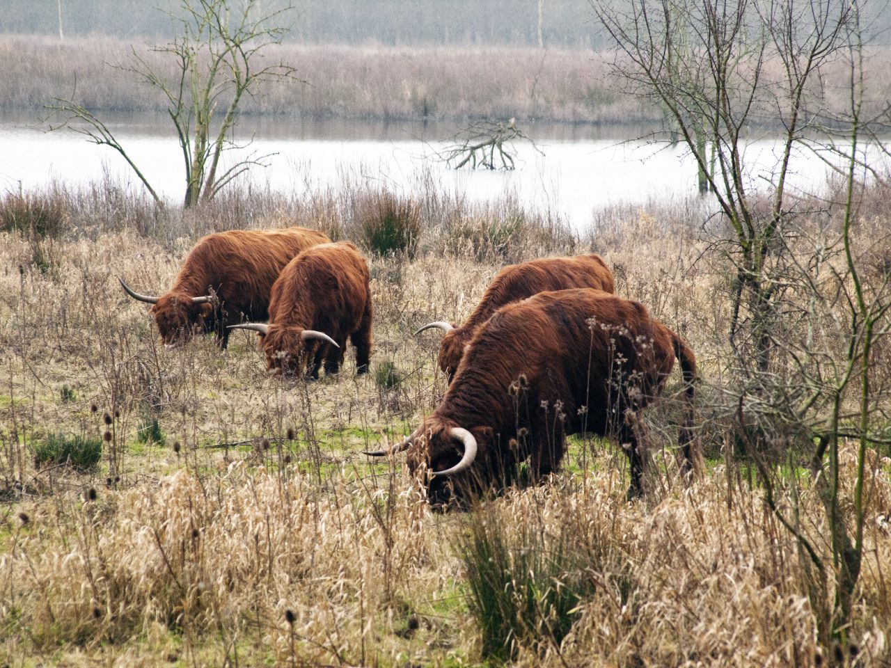 Runderwandeling