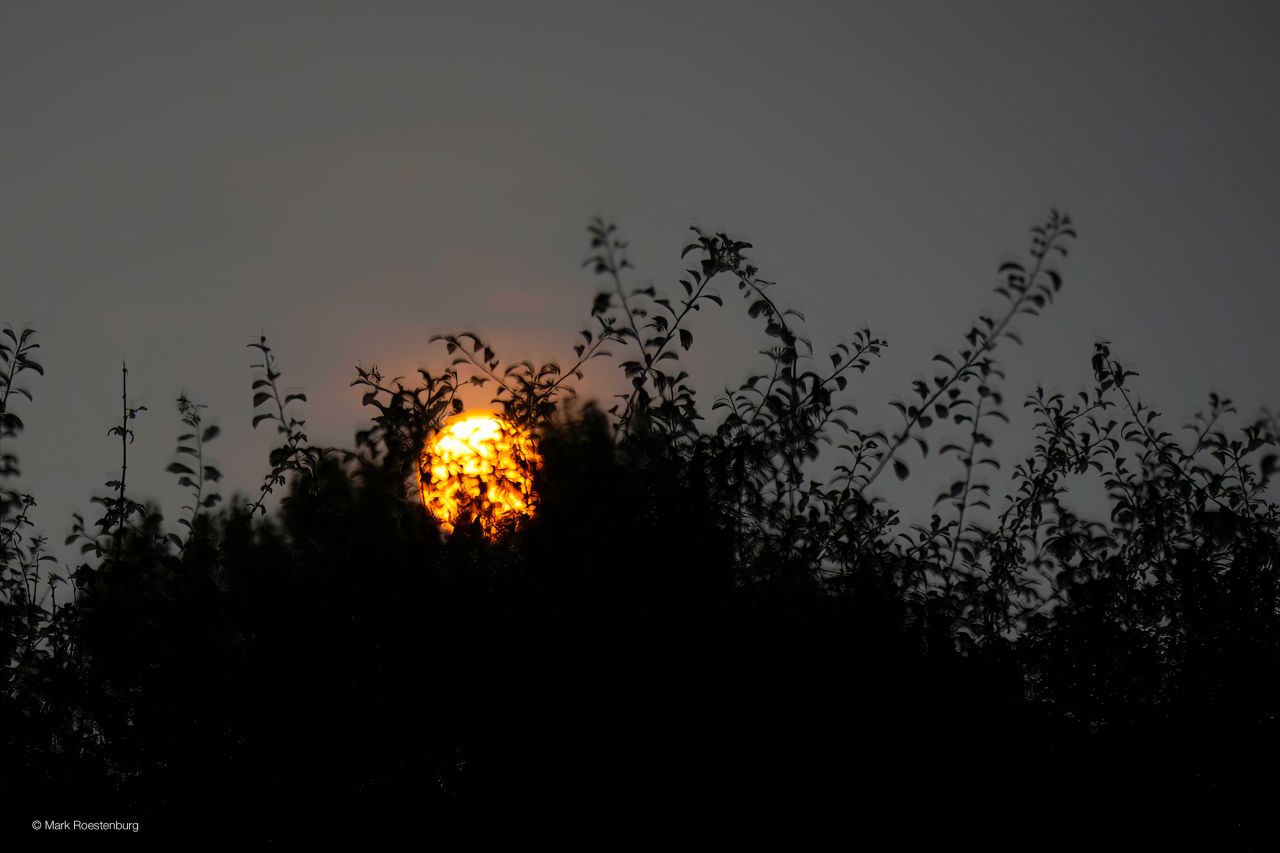 Volle maan