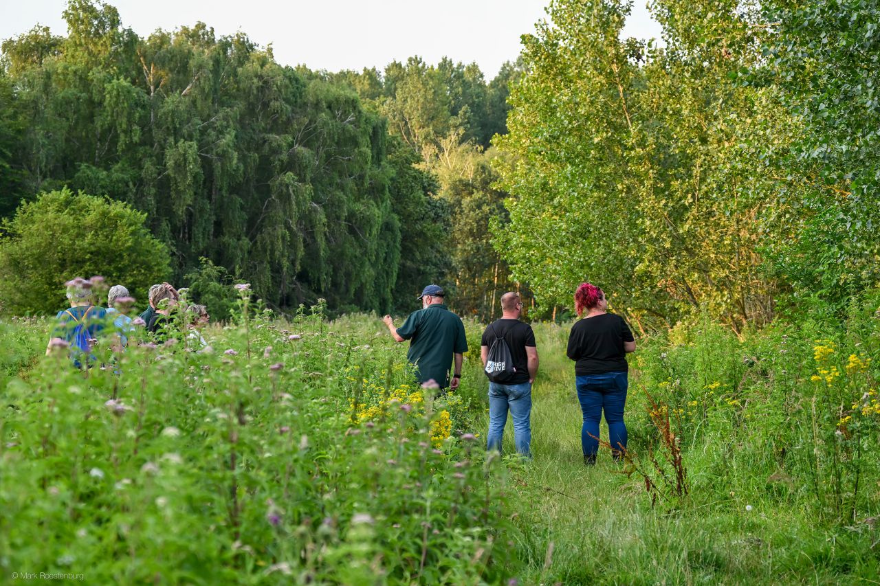 foto zomeravondwandeling