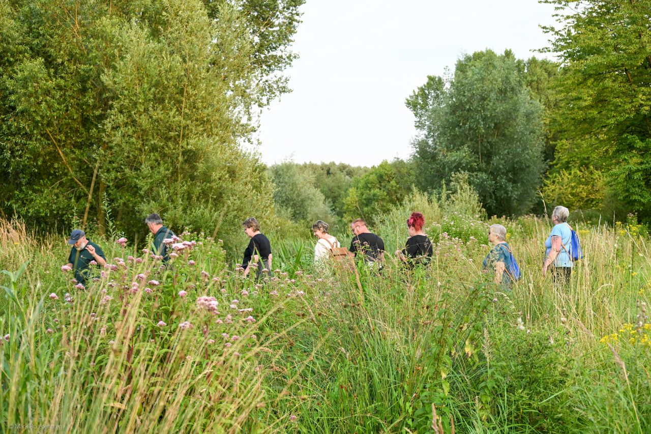 wandeling in het avondlicht