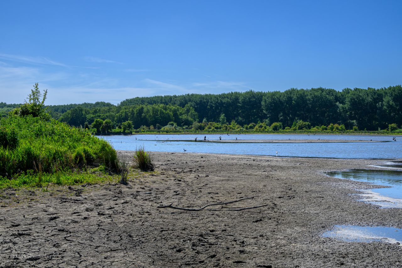 droogte