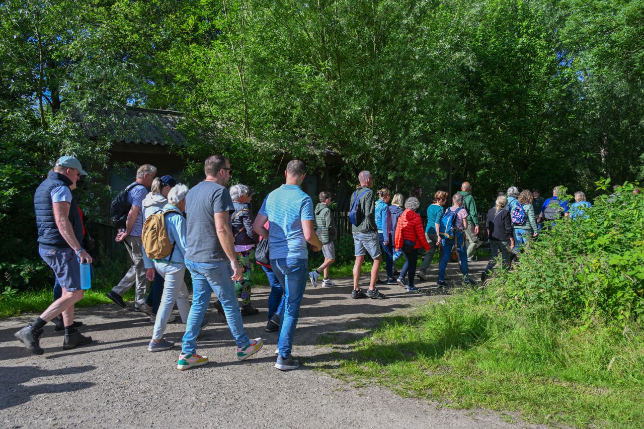 Broekpoldermars