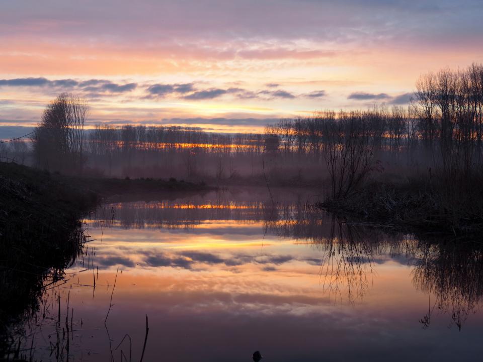 Foto Cees Groen