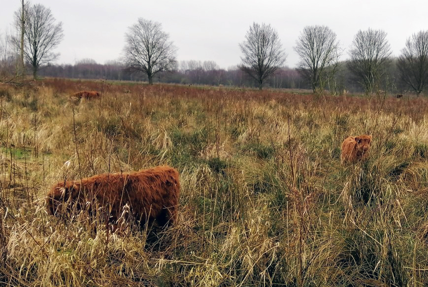 Foto Jeanet Groenendijk