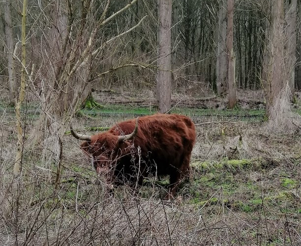 Foto Jeanet Groenendijk