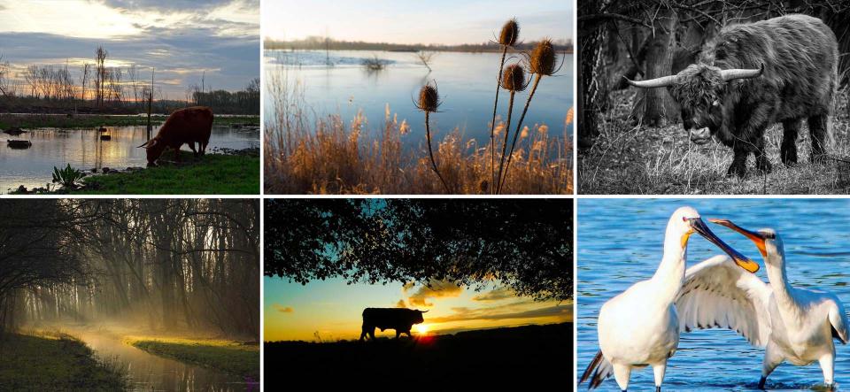 Fotogeniek Broekpolder