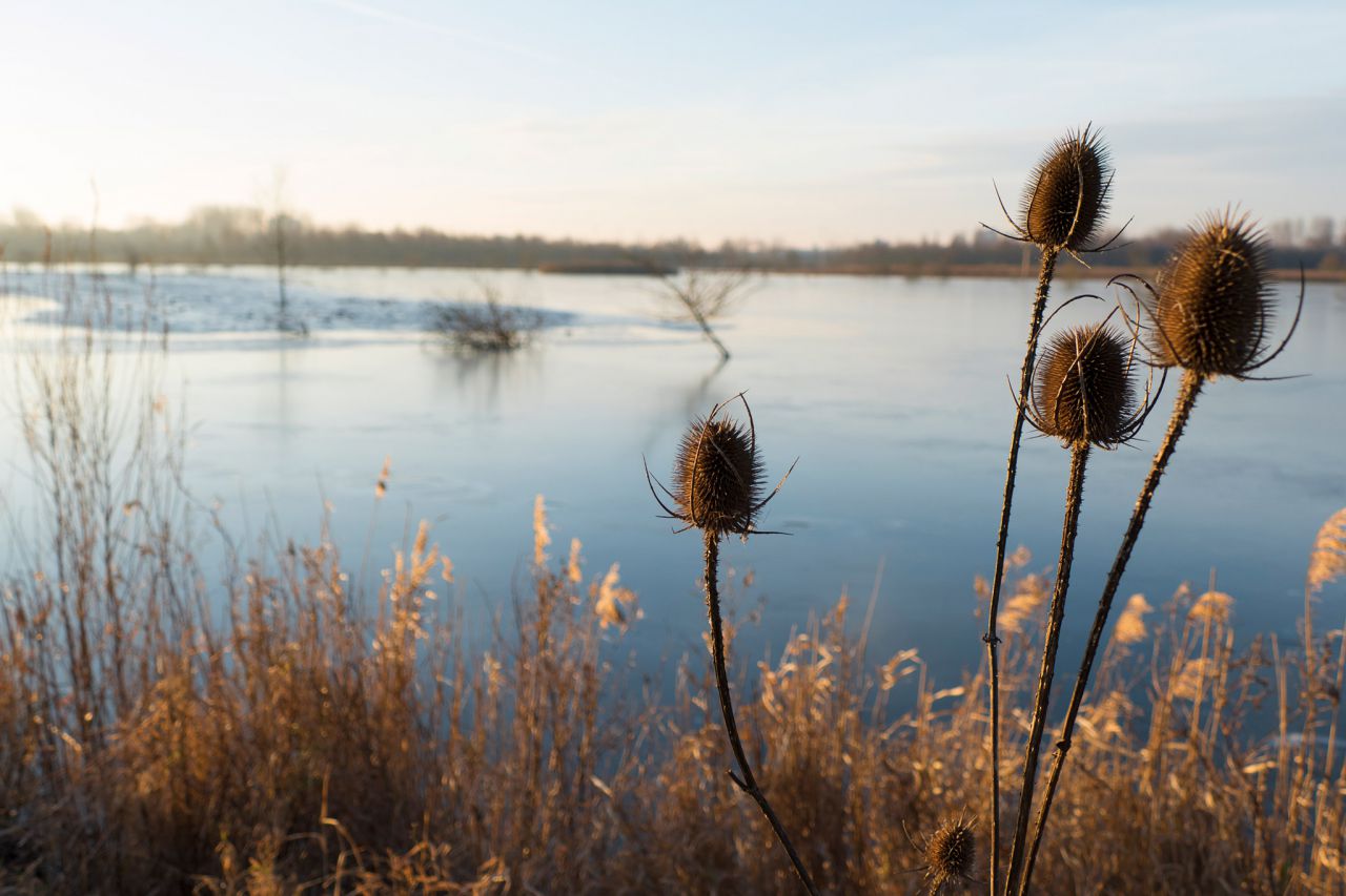 winterwandeling