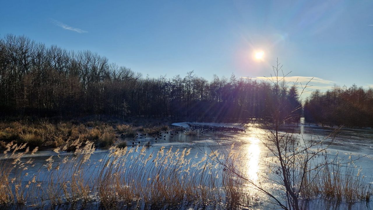 winterwandeling