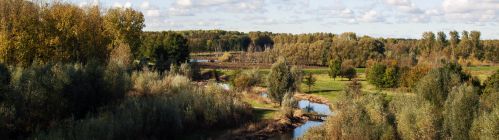 Herfst in de Broekpolder