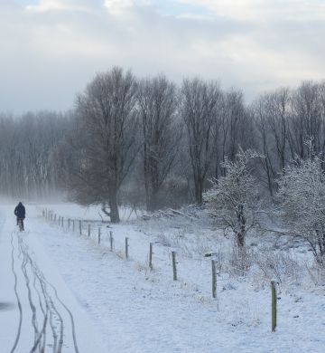 Broekpolder Vlaardingen