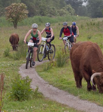 Fietsen tussen de Schotse Hooglanders