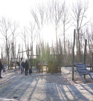 klauterwoud Broekpolder