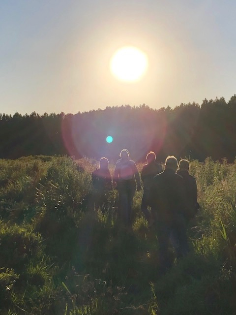 Wandelen in de Broekpolder