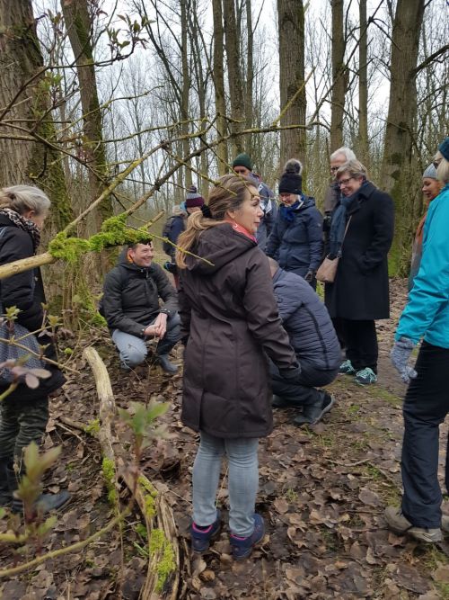 Wandelen in de Broekpolder