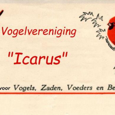 Icarus